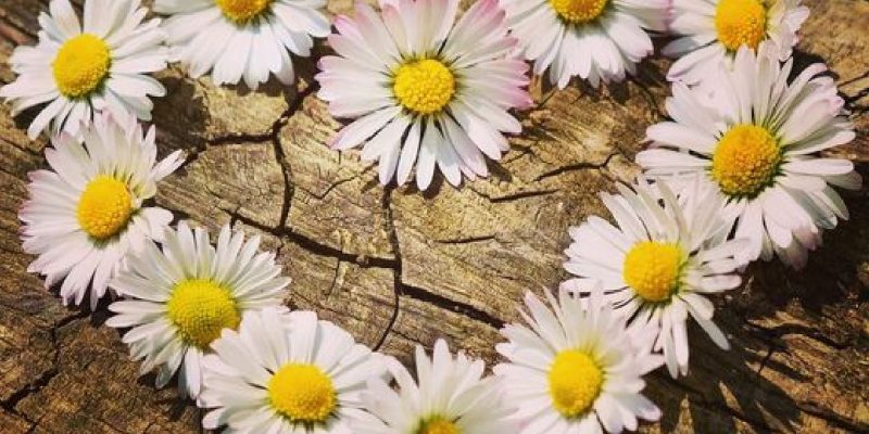 Ti diranno che devi trovare fuori di te l’Amore