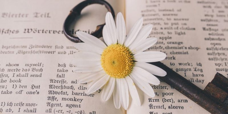 Il Potere delle Parole e delle Intenzioni