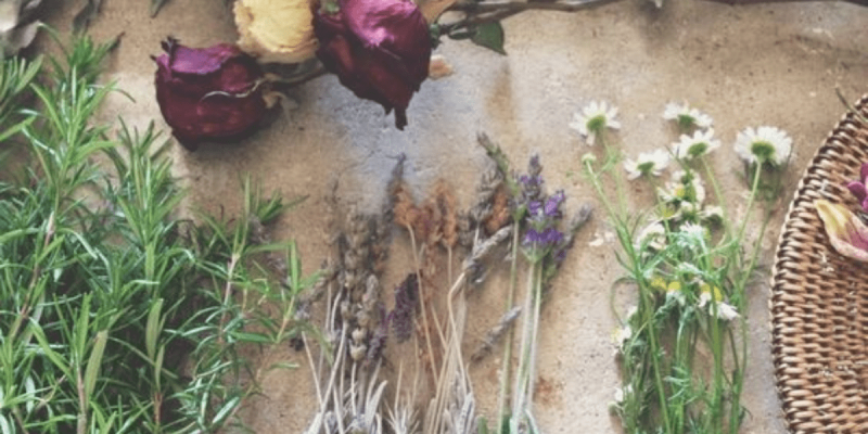 Luna di Marzo: Fioritura di Incantesimi