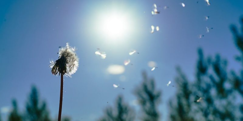 Io sono come zaffiro