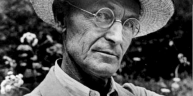 Hesse – Sull’Amore