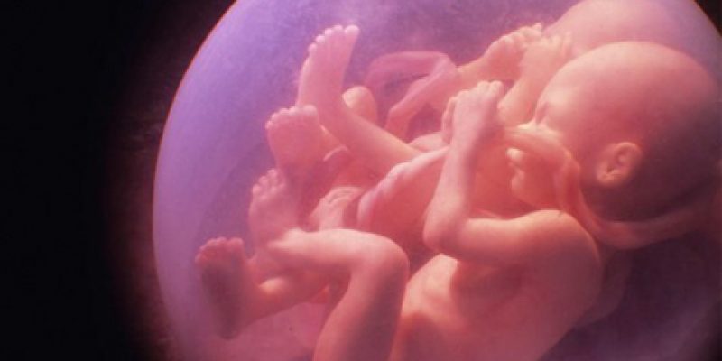 Tu credi nella vita oltre il parto?