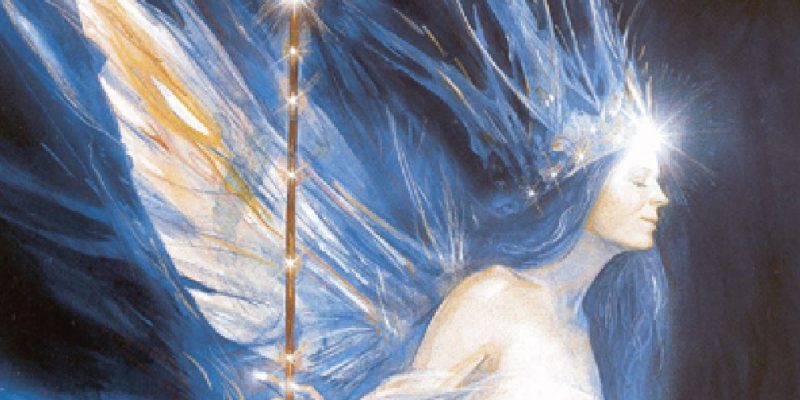 L’ombra va trascesa, non rifiutata