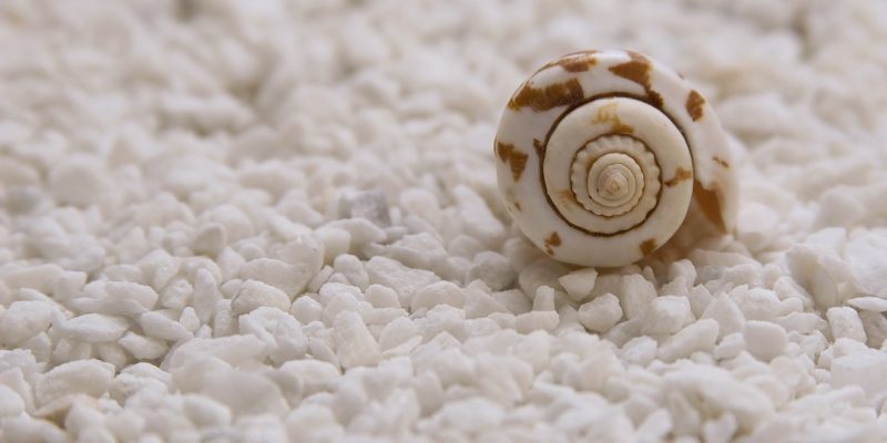 Cosa accade quando medito?