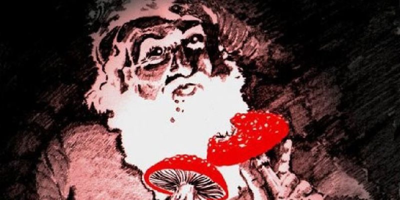 Le Radici Sciamaniche del Natale
