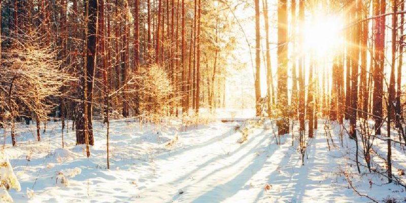 Il Tempo della Luce
