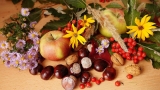 Le Mele di Mabon