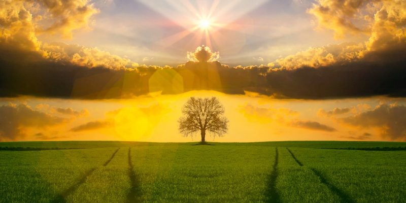 Canto alla Madre Terra