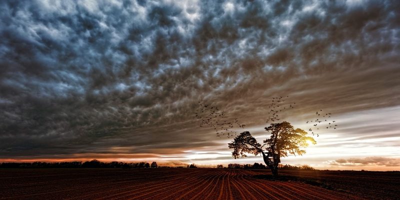 Là dove osano le ombre