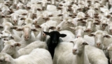 Lealtà Familiare, Karma Familiare…