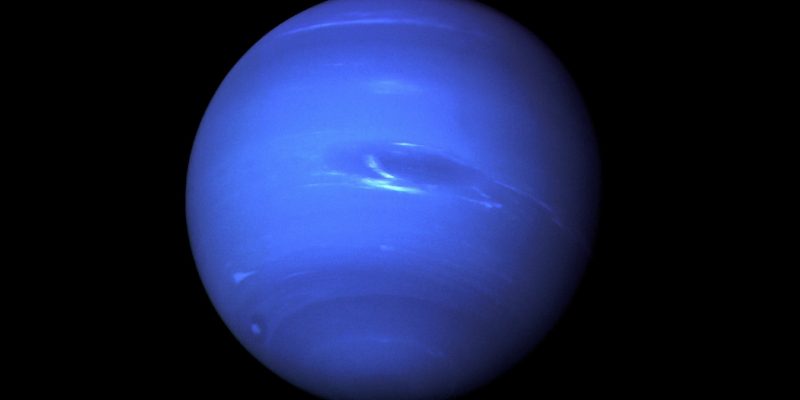 Nettuno e la nostra antenata…