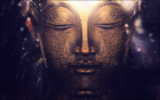Buddhismo ZEN – Andare oltre alla sofferenza è possibile?