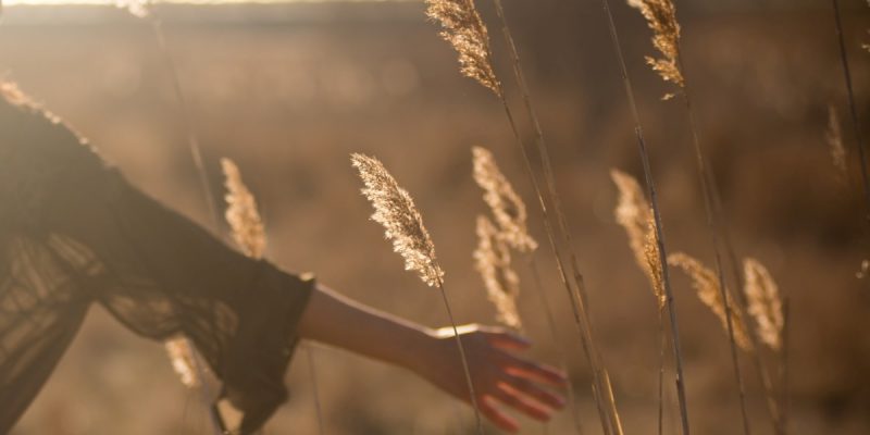 Con-tatto con il virus, con-tatti con l’altro – seconda parte