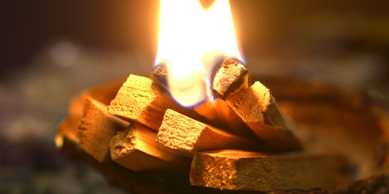 Palo Santo: il profumo che purifica…