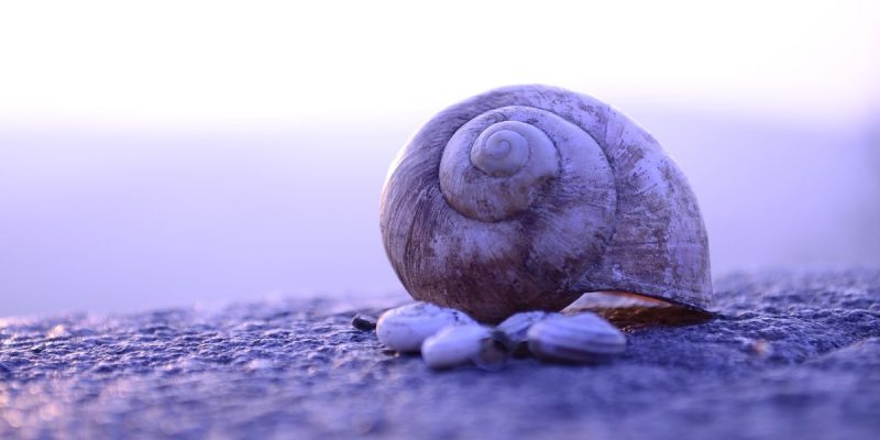 Cambiare? Ricominciare? No, grazie