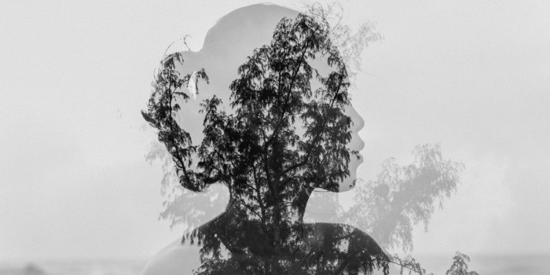 La vita non è un esame