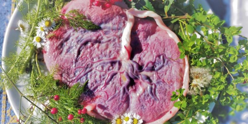 Rituali Placentari