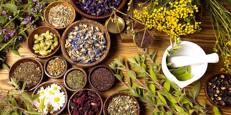 Fitoterapia: Curarsi con i rimedi naturali