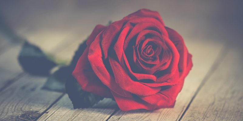 E buon San Valentino…