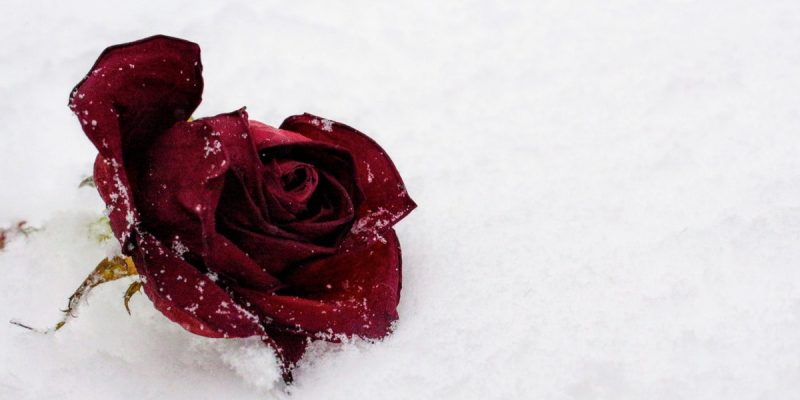 Non smettere di innamorarti