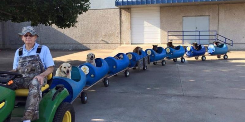 Il trenino dei cani abbandonati!