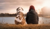 Rituale per lasciare andare il nostro animale