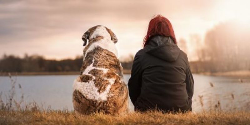 Rituale per lasciare andare il nostro animale