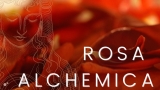 Iniziazione alla Ruota della Rosa Alchemica
