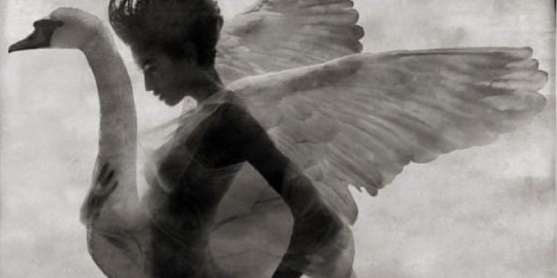 Fromm – Conoscere significa penetrare sotto la superficie