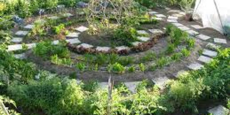 Emilia Hazelip- la Mamma dell’Agricoltura Sinergica