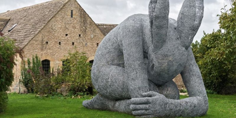 Animale Compagno: La Lepre e il suo potere