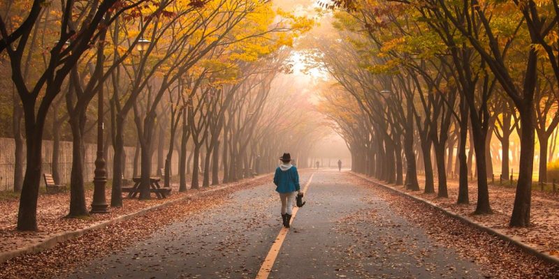 Tu non sei la strada dell’esperienza ma l’individuo che la percorre…