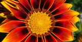 L’Essenza del Tantra Reiki