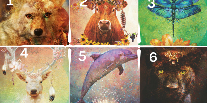 Scegli la tua Energia Animale