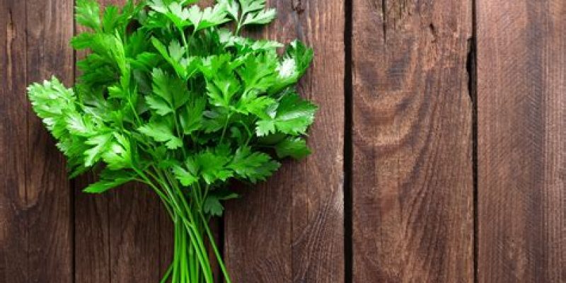 Prezzemolo: elisir di bellezza