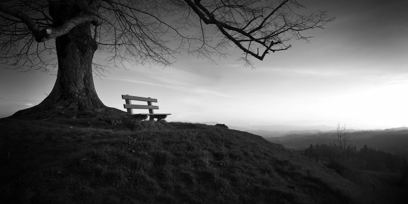 Fermati. Aspetta. Ascolta. E intanto goditi il paesaggio…