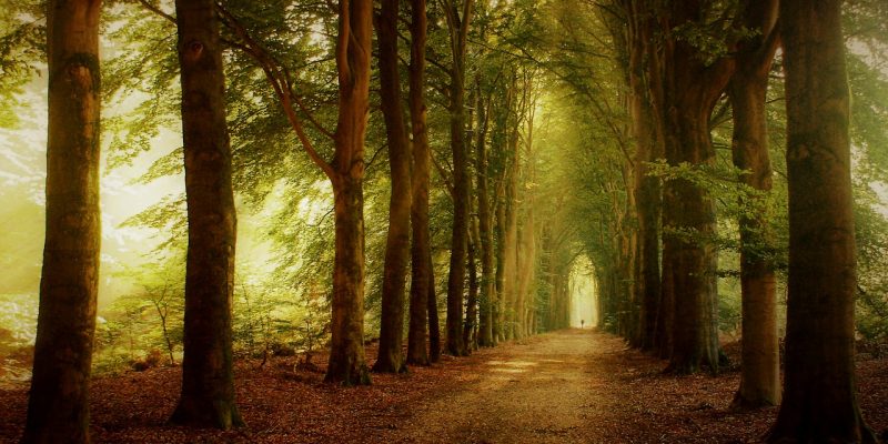 Siamo davanti ad un Bivio