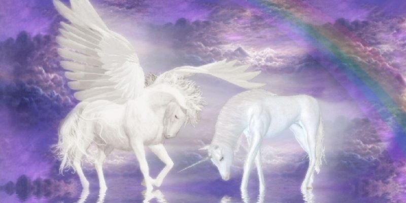  Ciao, siamo gli Unicorni