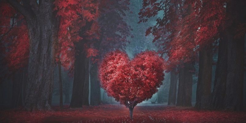 Riscrivere la propria storia d’amore è possibile, ecco come…