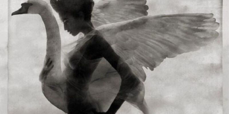 Lascia cadere i veli