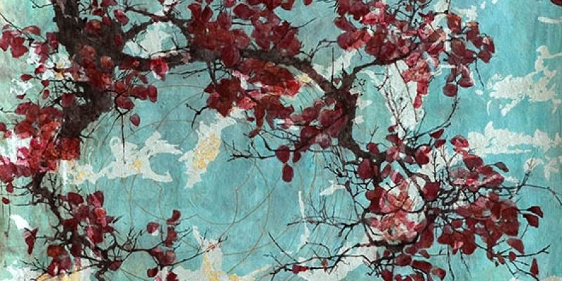 La bellezza è negli occhi di guarda