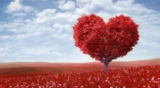 Mi è costato così tanto aprire il cuore che…