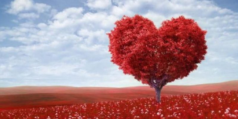 Mi è costato così tanto aprire il cuore che…