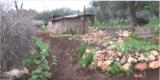 Il Giardino della Gioia: un ecovillaggio nel cuore del Gargano