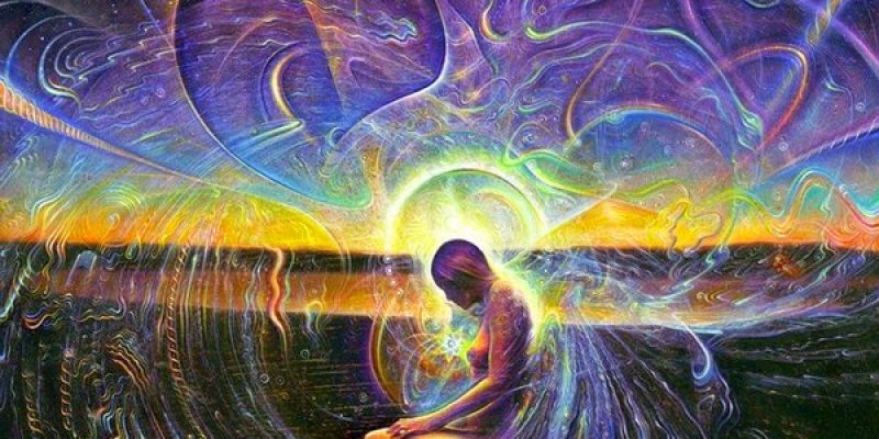 L’Essere Umano è un …