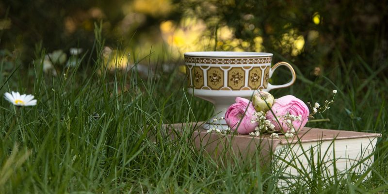 Ora voglio solo tornare a casa