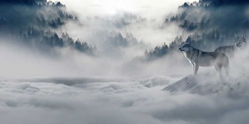 Riprenditi il potere ceduto ad altri per amore