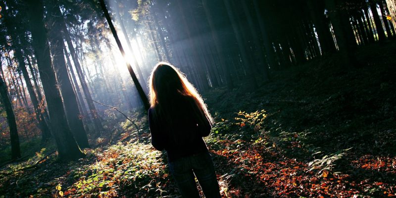 Ci devi passare nel bosco, guerriera antica