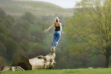 Meditazione Zen – Razionalità o Irrazionalità?