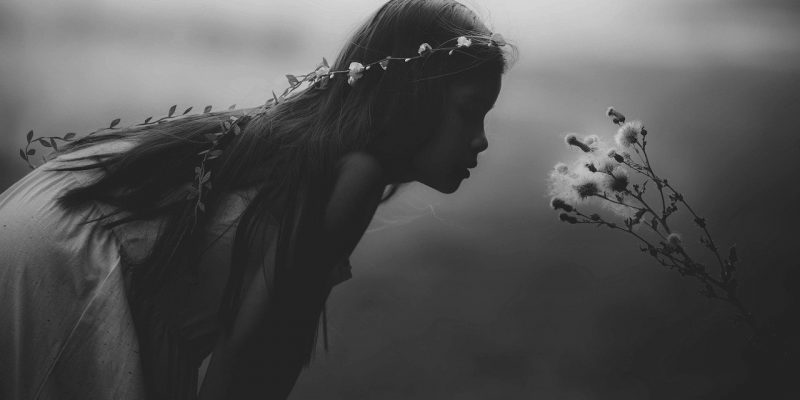 Le Ninfee delle Emozioni